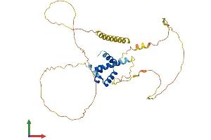 AlphaFold protein structure predicition of Human Recombinant SHOX2 Protein, UniprotID O60902