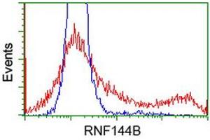 HEK293T cells transfected with either RC209302 overexpress plasmid (Red) or empty vector control plasmid (Blue) were immunostained by anti-RNF144B antibody (ABIN2453806), and then analyzed by flow cytometry. (RNF144B anticorps)