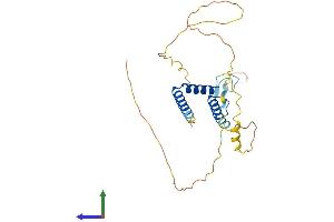 AlphaFold protein structure predicition of Human Recombinant RFXAP Protein, UniprotID O00287