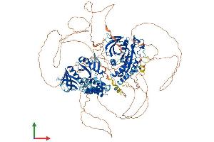 AlphaFold protein structure predicition of Mouse Recombinant Ptpn21 Protein, UniprotID Q62136