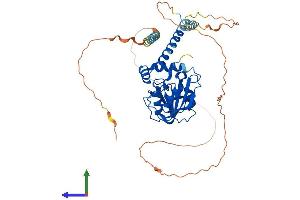 AlphaFold protein structure predicition of Mouse Recombinant Rrp8 Protein, UniprotID Q9DB85