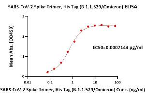 Immobilized Human ACE2, Fc Tag (ABIN6952465) at 5 μg/mL (100 μL/well) can bind SARS-CoV-2 Spike Trimer, His Tag (B.