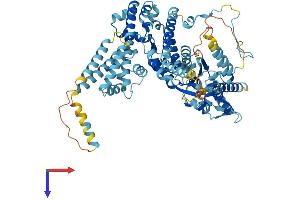 AlphaFold protein structure predicition of Human Recombinant ORC3 Protein, UniprotID Q9UBD5