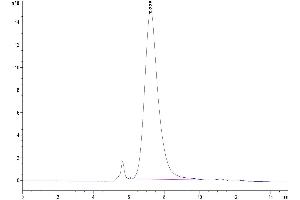 The purity of Mouse CD43 is greater than 95 % as determined by SEC-HPLC.