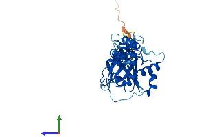 AlphaFold protein structure predicition of Human Recombinant DNAJC27 Protein, UniprotID Q9NZQ0