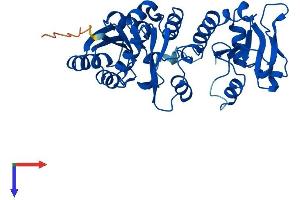AlphaFold protein structure predicition of Mouse Recombinant B3gntl1 Protein, UniprotID Q3U129