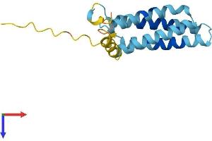AlphaFold protein structure predicition of Human Recombinant PLP2 Protein, UniprotID Q04941