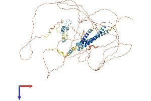 AlphaFold protein structure predicition of Human Recombinant CEP68 Protein, UniprotID Q76N32