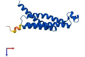 AlphaFold protein structure predicition of Mouse Recombinant Ptges Protein, UniprotID Q9JM51