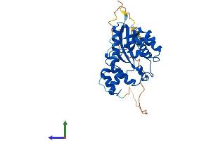 AlphaFold protein structure predicition of Human Recombinant NMNAT2 Protein, UniprotID Q9BZQ4