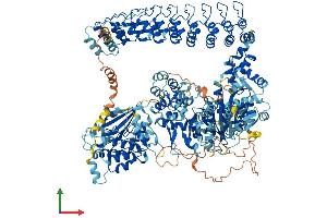 AlphaFold protein structure predicition of Human Recombinant DAPK1 Protein, UniprotID P53355