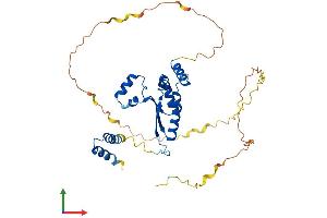 AlphaFold protein structure predicition of Mouse Recombinant Khdrbs2 Protein, UniprotID Q9WU01
