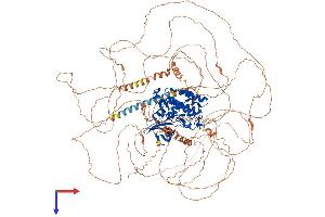 AlphaFold protein structure predicition of Human Recombinant TTBK1 Protein, UniprotID Q5TCY1