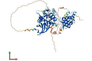 AlphaFold protein structure predicition of Human Recombinant PDPK1 Protein, UniprotID O15530