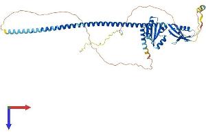 AlphaFold protein structure predicition of Human Recombinant UBXN4 Protein, UniprotID Q92575