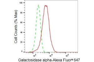 Flow cytometric analysis of Galactosidase alpha expression in HeLa cells using Galactosidase alpha antibody (ABIN7798683), 1:2,000).