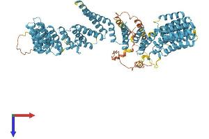 AlphaFold protein structure predicition of Mouse Recombinant Xab2 Protein, UniprotID Q9DCD2