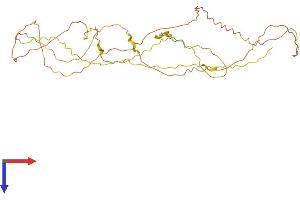 ERICH5 (AA 1-362) protein (His tag)