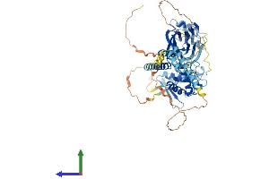 AlphaFold protein structure predicition of Human Recombinant SCNN1A Protein, UniprotID P37088
