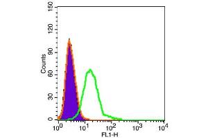 U87MG cells probed with ADAM12 Polyclonal Antibody  at 1:100 dilution for 30 minutes compared to control cells (black) and isotype control (orange).