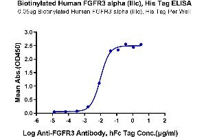 Immobilized Biotinylated Human FGFR3 alpha (IIIc) at 0.