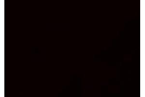 ABIN6275283 staining HeLa cells by IF/ICC.