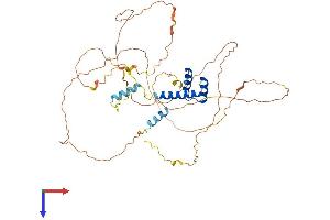 AlphaFold protein structure predicition of Human Recombinant EVX2 Protein, UniprotID Q03828