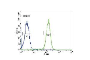 Flow cytometric analysis of MDA-MB435 cells (right histogram) compared to a negative control cell (left histogram).