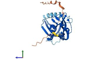 AlphaFold protein structure predicition of Mouse Recombinant Chac1 Protein, UniprotID Q8R3J5