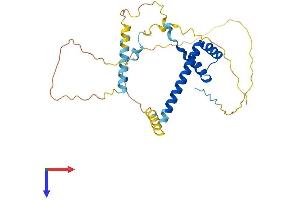 AlphaFold protein structure predicition of Human Recombinant LBX1 Protein, UniprotID P52954