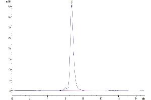 The purity of Human IL-2 R alpha/CD25 is greater than 95 % as determined by SEC-HPLC.