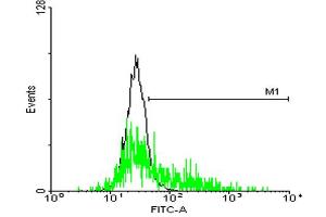 FACS analysis of negative control 293 cells (Black) and GPR143 expressing 293 cells (Green) using GPR143 purified MaxPab mouse polyclonal antibody. (GPR143 anticorps  (AA 1-424))