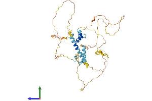 AlphaFold protein structure predicition of Human Recombinant MAMSTR Protein, UniprotID Q6ZN01