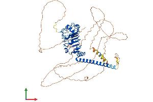 AlphaFold protein structure predicition of Mouse Recombinant Dnaaf1 Protein, UniprotID Q9D2H9