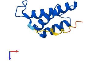 AlphaFold protein structure predicition of Human Recombinant COX6B2 Protein, UniprotID Q6YFQ2