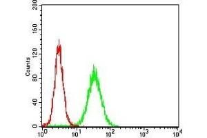 Flow cytometric analysis of Hela cells using SEMAPHORIN-3A mouse mAb (green) and negative control (red).