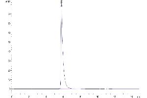 The purity of Human Siglec-2 is greater than 95 % as determined by SEC-HPLC (CD22 Protein (AA 20-687) (Fc Tag))