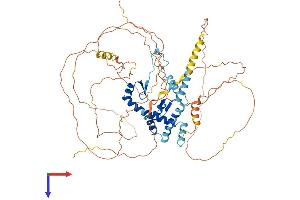 AlphaFold protein structure predicition of Mouse Recombinant Akap8l Protein, UniprotID Q9R0L7