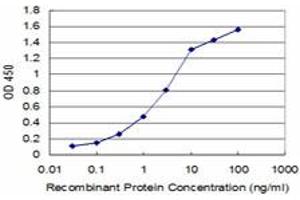 Detection limit for recombinant GST tagged HEY1 is approximately 0. (HEY1 anticorps  (AA 121-220))
