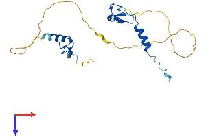 AlphaFold protein structure predicition of Human Recombinant ZFAND6 Protein, UniprotID Q6FIF0