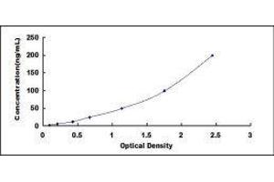 ELISA image for Nicotinamide phosphoribosyltransferase (NAMPT) ELISA Kit (ABIN413997)