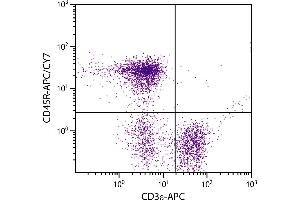 BALB/c mouse splenocytes were stained with Rat Anti-Mouse CD45R-APC/CY7.