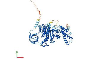AlphaFold protein structure predicition of Human Recombinant ATP6V1B1 Protein, UniprotID P15313