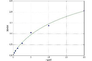 Protein Kinase A, alpha (PRKACA) ELISA Kit