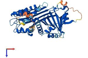 AlphaFold protein structure predicition of Human Recombinant SERPINB12 Protein, UniprotID Q96P63