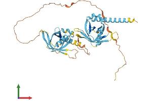 AlphaFold protein structure predicition of Human Recombinant PTOV1 Protein, UniprotID Q86YD1