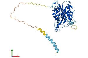 AlphaFold protein structure predicition of Mouse Recombinant B3gat1 Protein, UniprotID Q9CW73