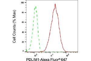 Flow cytometric analysis of PDLIM1 expression in HepG2 cells using PDLIM1 antibody (ABIN7799748), 1:2,000). (Recombinant PDLIM1 anticorps)
