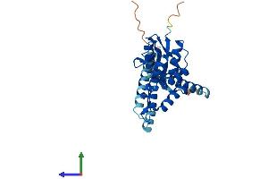 AlphaFold protein structure predicition of Mouse Recombinant Otud6b Protein, UniprotID Q8K2H2