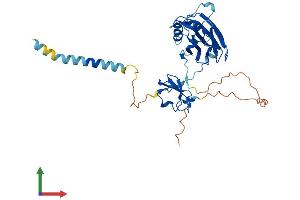 AlphaFold protein structure predicition of Mouse Recombinant Cgrrf1 Protein, UniprotID Q8BMJ7